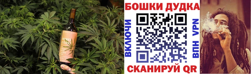 Купить где  Данилов  Canna-Cookies конопля 