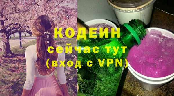 мдпв Коряжма