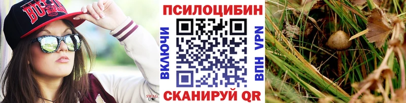 Галлюциногенные грибы ЛСД  Купить где  Данилов 